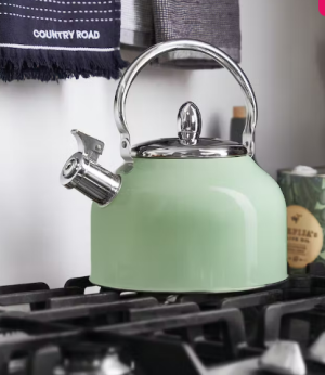 Home Space 2.7L Stove Top Whistling Kettle