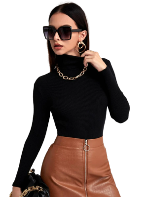 Turtleneck Ribbed Knit Sweater