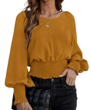 Bishop sleeves Blouse