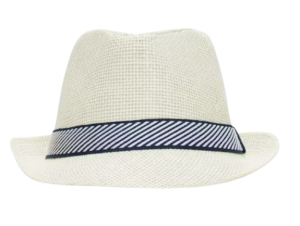 Stylerie Hat